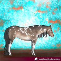 Horse Color:White Spotted Brown Dun Tobiano 