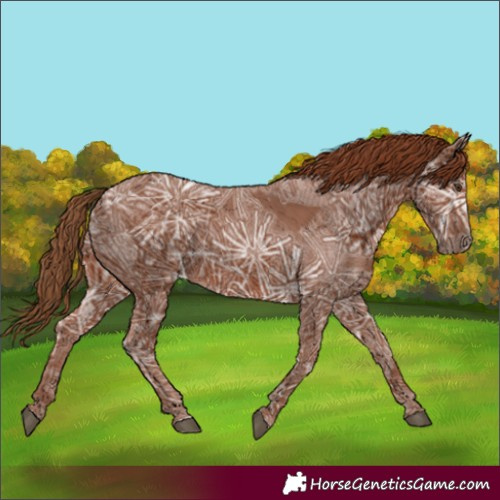 Horse Color:Chestnut Ice 
