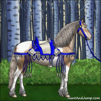 Horse Color:Gray Silver Brown Pearl Dun Tobiano 