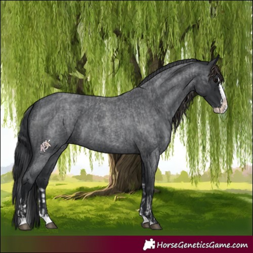 Horse Color:Blue Roan Sabino Splash  and Blue Roan Sabino Splash 