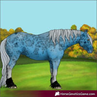 Horse Color:ERROR: UNKNOWN ANOMALY
