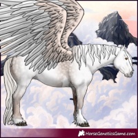 Horse Color:Gray Silver Black Pearl Tobiano