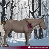 Horse Color:Silver Black 