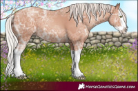 Horse Color:Silver Classic Champagne Ice Splash 