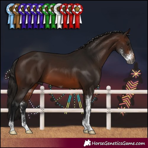 Horse Color:Gray Bay Sabino 