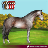 Horse Color:Gray Bay Sabino 