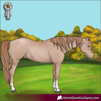 Horse Color:Chocolate Black Pearl Mushroom Sabino
