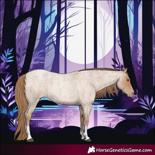 Horse Color:Blue Roan Pearl Sabino