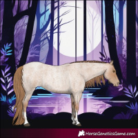 Horse Color:Blue Roan Pearl Sabino 