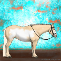 Horse Color:Palomino Dun Frame 