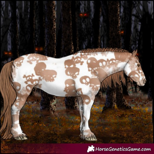 Horse Color:Black Pearl Sabino Tobiano Frame 