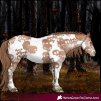 Horse Color:Black Pearl Sabino Tobiano Frame 