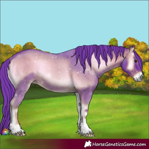 Horse Color:Watercolor Liver Red Onyx 