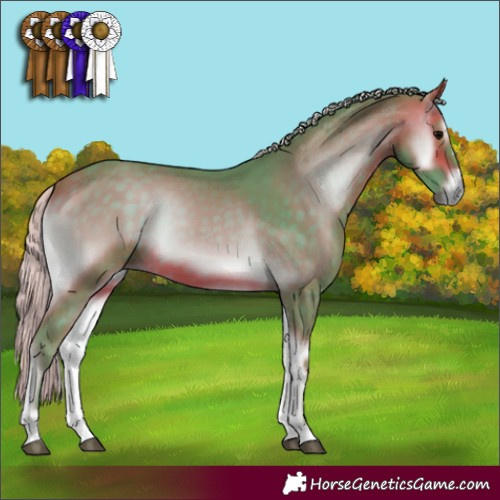 Horse Color:Watercolor Silver Brown Onyx 