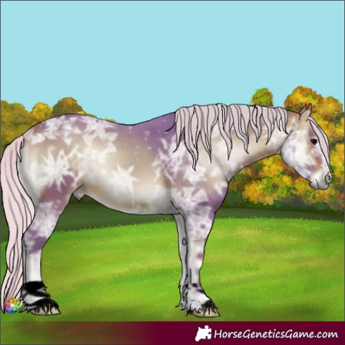 Horse Color:Void Watercolor Silver Brown Ice Onyx 