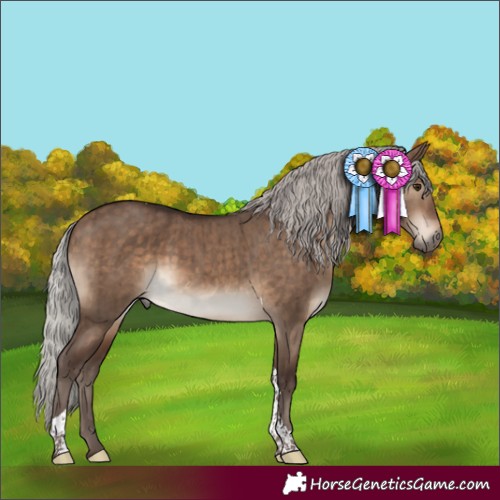 Horse Color:Silver Brown Dun Tobiano Rabicano Brindle