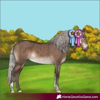 Horse Color:Silver Brown Dun Tobiano Rabicano Brindle 