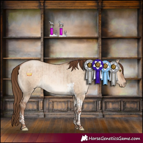 Horse Color:Brown Pearl Dun Tobiano Rabicano Brindle 