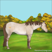 Horse Color:Brown Pearl Dun Tobiano Rabicano Brindle 