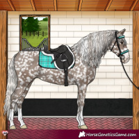 Horse Color:Silver Black Snowflake Varnish