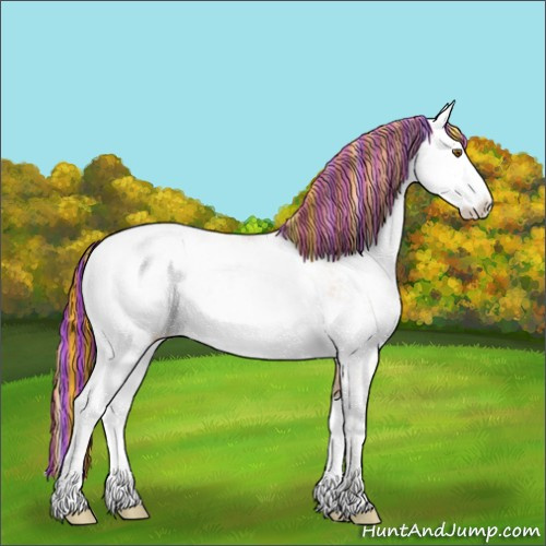 Horse Color:Painted Black Pearl Sabino 