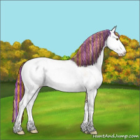 Horse Color:Painted Black Pearl Sabino 