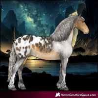 Horse Color:Silver Buckskin Tobiano Appaloosa 
