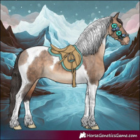 Horse Color:Brown Dun Tobiano Appaloosa