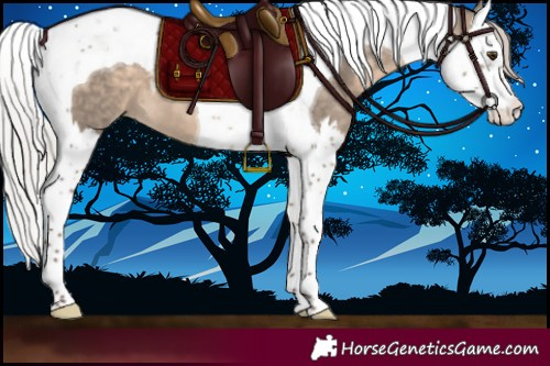 Horse Color:Silver Bay Dun Splash Tobiano 
