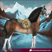 Horse Color:Gray Brown Splash 