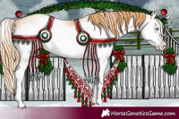 Horse Color:Buckskin Pearl Splash Frame