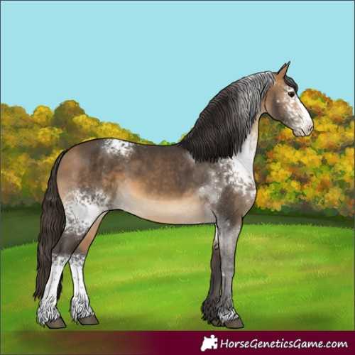 Horse Color:White Spotted Buckskin Sabino