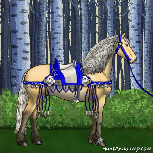 Horse Color:Gray Silver Buckskin Dun Appaloosa