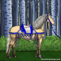 Horse Color:Gray Silver Buckskin Dun Appaloosa