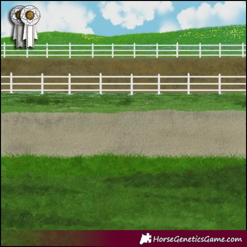 Horse Color:Painted Red Dun 