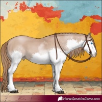 Horse Color:Black Pearl Sabino Splash Tobiano 