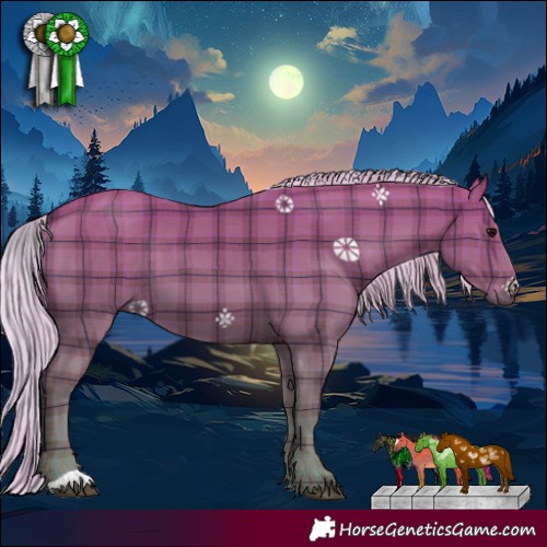 Horse Color:Plaid  Silver Black 