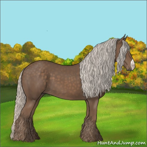 Horse Color:Silver Black 