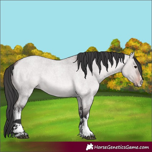Horse Color:Platinum White Spotted Bay Roan Dun 