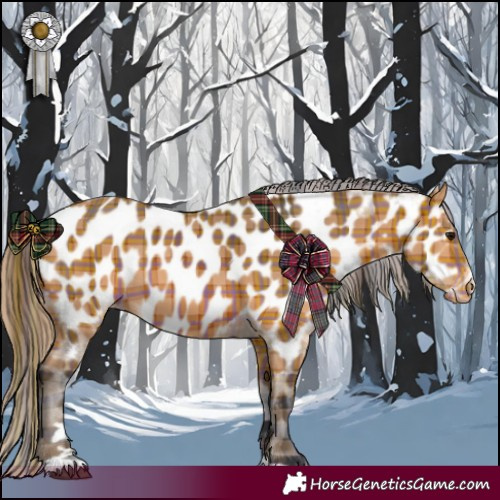Horse Color:Plaid  Bay Near Leopard 