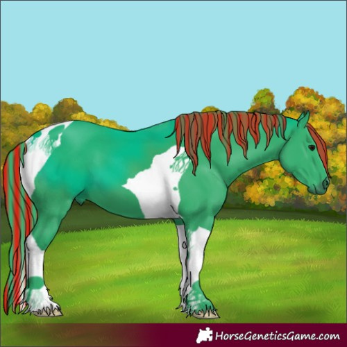 Horse Color:Painted Watercolor Black Tobiano 