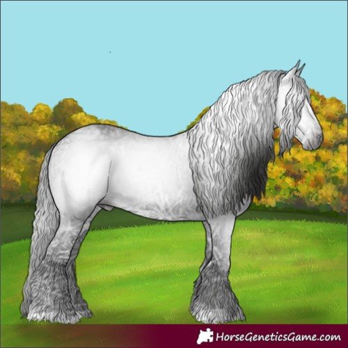 Horse Color:Gray Black Ice