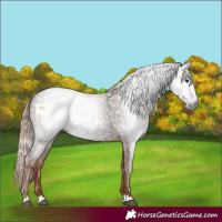 Horse Color:Gray Chestnut