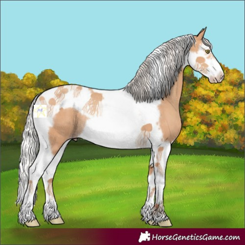 Horse Color:Silver Amber Champagne Splash Tobiano Frame Rabicano 