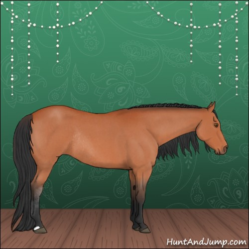 Horse Color:Bay Roan Rabicano 