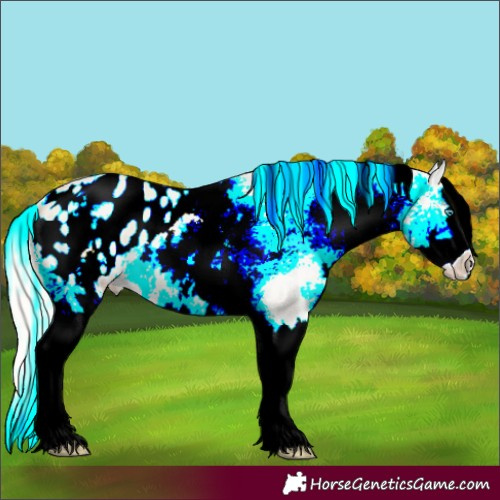 Horse Color:White Spotted Cremello Splash Appaloosa 