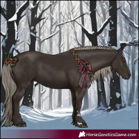 Horse Color:Liver Chestnut Rabicano