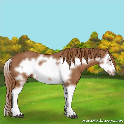 Horse Color:Chestnut Splash Frame