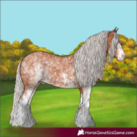 Horse Color:White Spotted Silver Bay 
