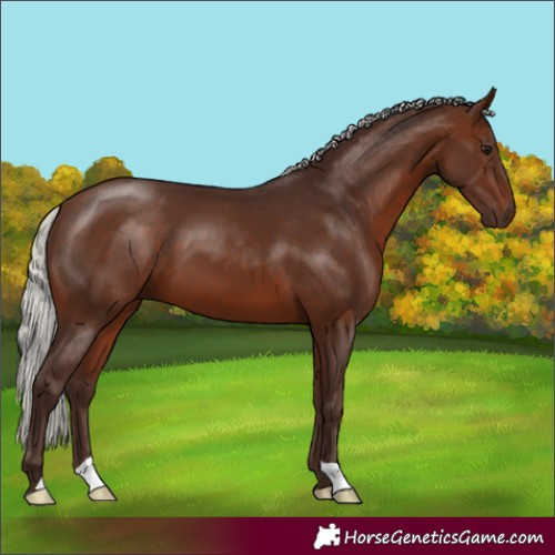 Horse Color:Silver Brown 